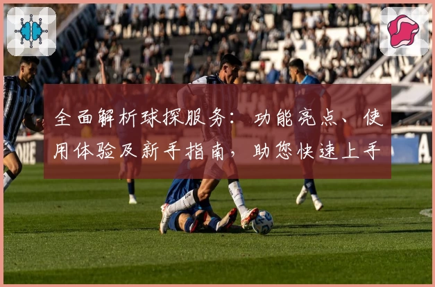 全面解析球探服务：功能亮点、使用体验及新手指南，助您快速上手