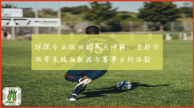 球探专业版功能亮点详解：全新升级带来精准数据与赛事分析体验