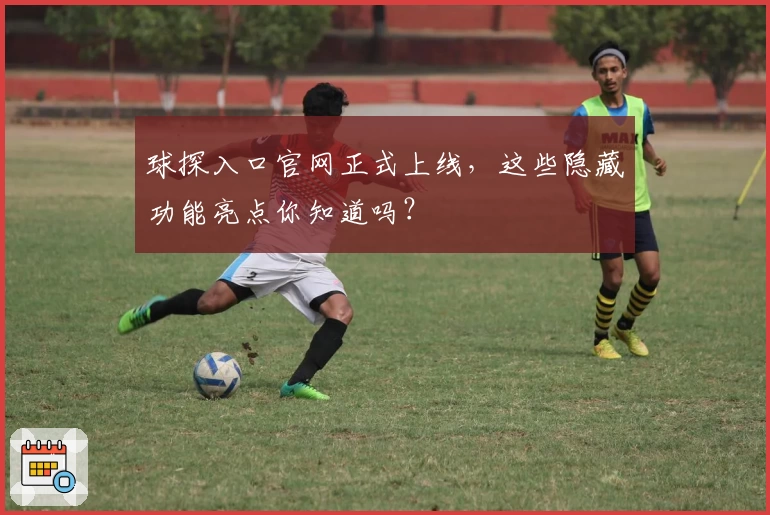 球探入口官网正式上线，这些隐藏功能亮点你知道吗？