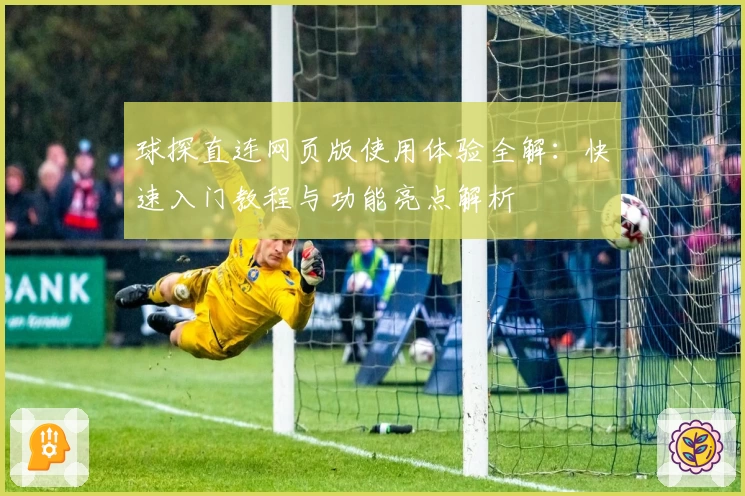 球探直连网页版使用体验全解：快速入门教程与功能亮点解析